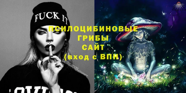тгк Корсаков