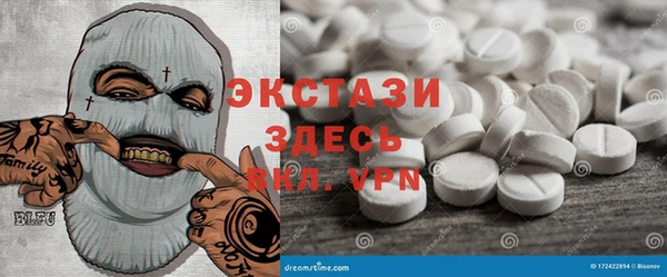 СК Алексин