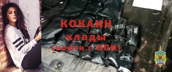 дживик Аркадак