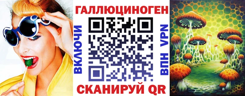 kraken сайт  Александровск-Сахалинский  Галлюциногенные грибы мицелий  как найти  